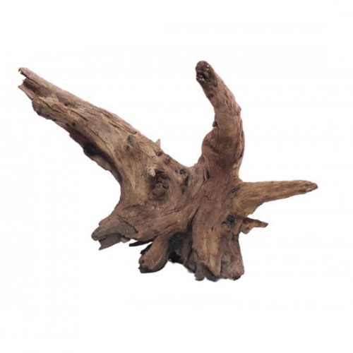 خشب متحجر من النوع Bogwood مقاس وسط وكبير (معالج) خشب متحجر من النوع Bogwood مقاس وسط وكبير (معالج)