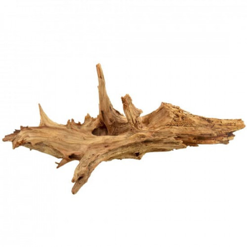 خشب الحظ المميز باللون الخشبي الفاتح - Lucky Wood Stump خشب الحظ المميز باللون الخشبي الفاتح - Lucky Wood Stump