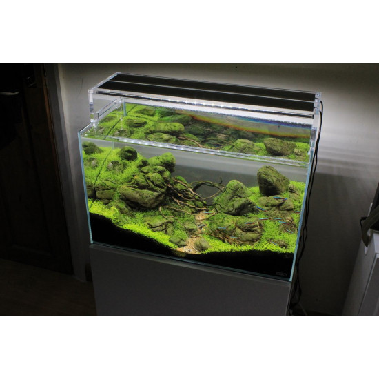 إضاءة دبل LED مقاس 45سم مع إستاند من الإكريلك - Doctor Chihiros إضاءة دبل LED مقاس 45سم مع إستاند من الإكريلك - Doctor Chihiros