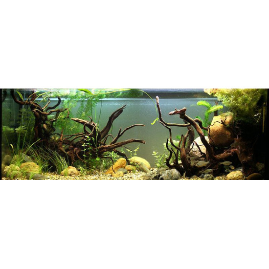 خشب متحجر من النوع Driftwood حجم M ( معالج ) خشب متحجر من النوع Driftwood حجم M ( معالج )