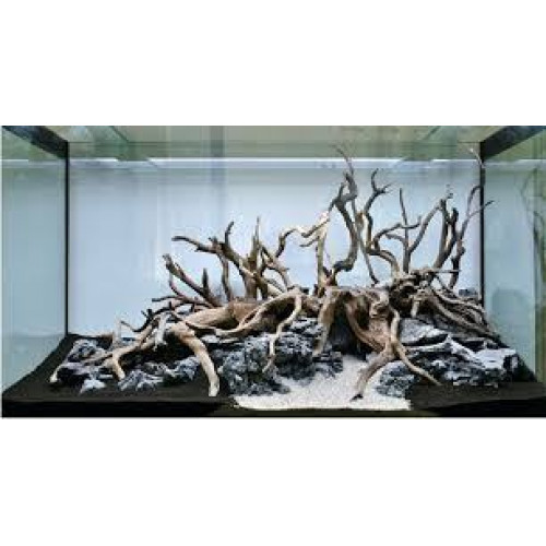 خشب متحجر من النوع Driftwood حجم S ( معالج ) خشب متحجر من النوع Driftwood حجم S ( معالج )