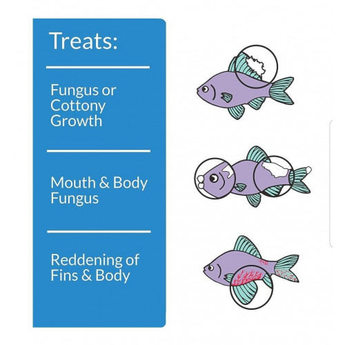 علاج مضاد لأمراض الفطريات - API PIMAFIX علاج مضاد لأمراض الفطريات - API PIMAFIX