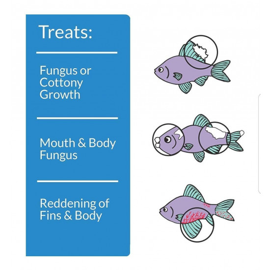 علاج مضاد لأمراض الفطريات - API PIMAFIX علاج مضاد لأمراض الفطريات - API PIMAFIX