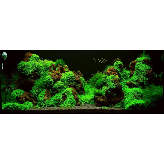 صخور بركانية بنية اللون أحجام كبيرة - Magic Volcano Rock صخور بركانية بنية اللون أحجام كبيرة - Magic Volcano Rock