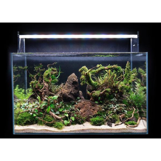 صخور بركانية بنية اللون أحجام كبيرة - Magic Volcano Rock صخور بركانية بنية اللون أحجام كبيرة - Magic Volcano Rock