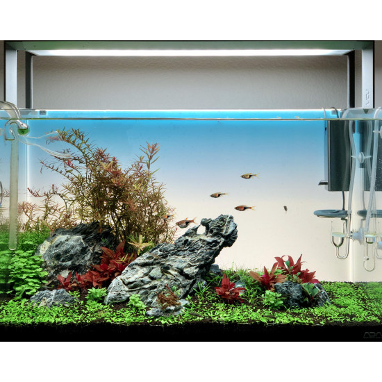 خلفية الشاشة المضيئة LED لحوض مقاس 60x40 سم - Aquarium Light Screen خلفية الشاشة المضيئة LED لحوض مقاس 60x40 سم - Aquarium Light Screen