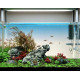 خلفية الشاشة المضيئة LED لحوض مقاس 60x40 سم - Aquarium Light Screen خلفية الشاشة المضيئة LED لحوض مقاس 60x40 سم - Aquarium Light Screen