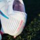 mercurial vapor