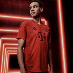 Bayern Munich Home Tshirt 24/25  