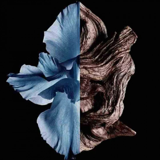 جيفنشي جنتلمان انتنس أو دو تواليت 100 مل جيفنشي جنتلمان انتنس أو دو تواليت 100 مل