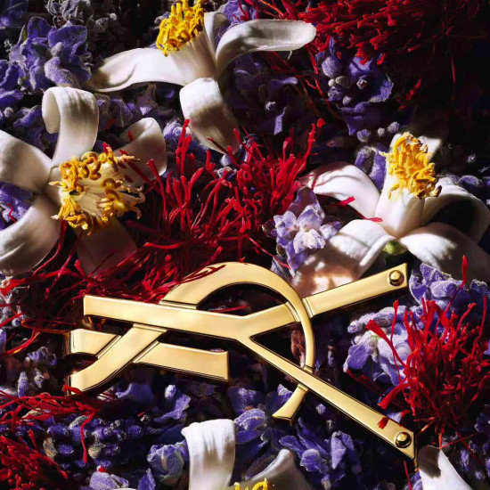 اف سان لوران ليبر لو بارفيوم 90 مل اف سان لوران ليبر لو بارفيوم 90 مل