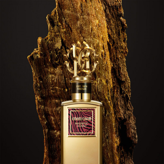 روبيرتو كافالي غولد كولكشن ماغنيتيك غواياك او دو برفيوم 100 مل روبيرتو كافالي غولد كولكشن ماغنيتيك غواياك او دو برفيوم 100 مل