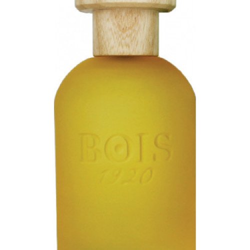 بويس 1920 شانابيس فروتاتا او دو برفيوم 100 مل