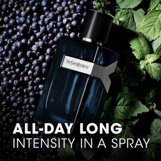 اف سان لوران واي انتنس او دو برفيوم 100 مل اف سان لوران واي انتنس او دو برفيوم 100 مل