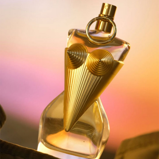 جان بول غوتييه غوتييه ديفين أو دو برفيوم 100 مل جان بول غوتييه غوتييه ديفين أو دو برفيوم 100 مل