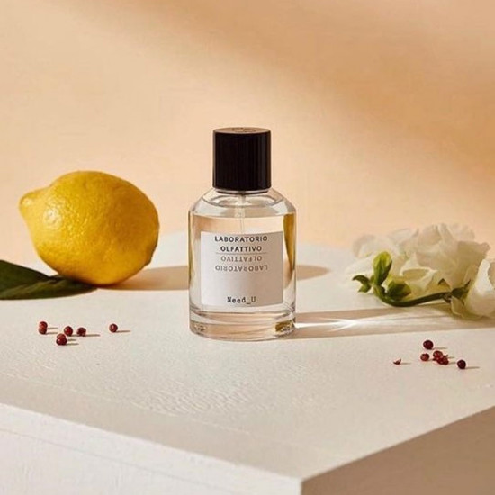 لابوراتوريو اولفاتيفو نيد يو او دو برفيوم - 100 مل لابوراتوريو اولفاتيفو نيد يو او دو برفيوم - 100 مل