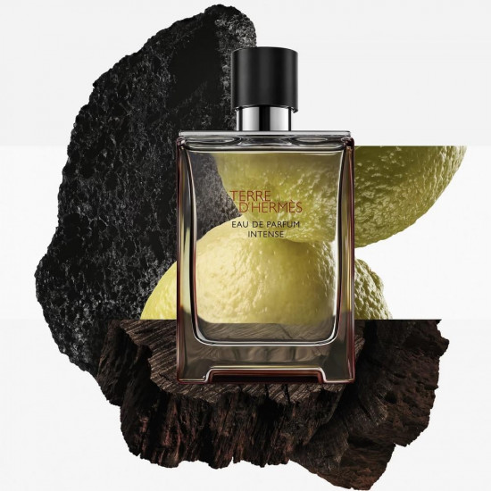 هيرمس تيري دي هرمس ادو بارفيوم انتنس 100 مل هيرمس تيري دي هرمس ادو بارفيوم انتنس 100 مل