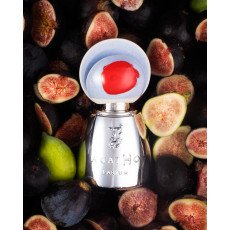 اجاثو 195 ايه.سي. اكستريت دو برفيوم 100 مل