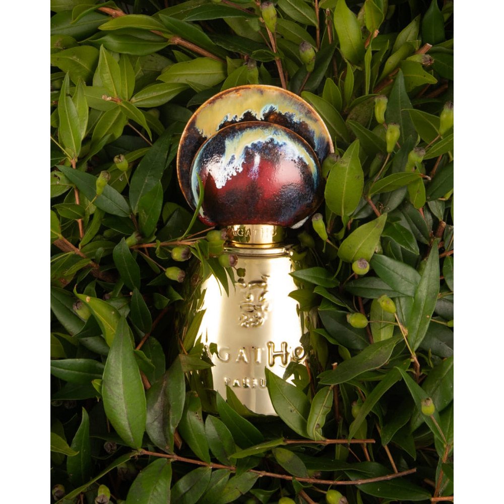 اجاثو كاستيامانتي اكستريت دو برفيوم 100 مل