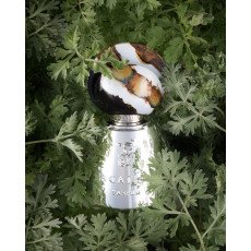 اجاثو فاونو اكستريت دو برفيوم 100 مل