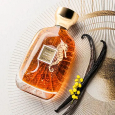 اتيلير دي اورس نوفاي فانيلا او دو برفيوم - 100 مل اتيلير دي اورس نوفاي فانيلا او دو برفيوم - 100 مل