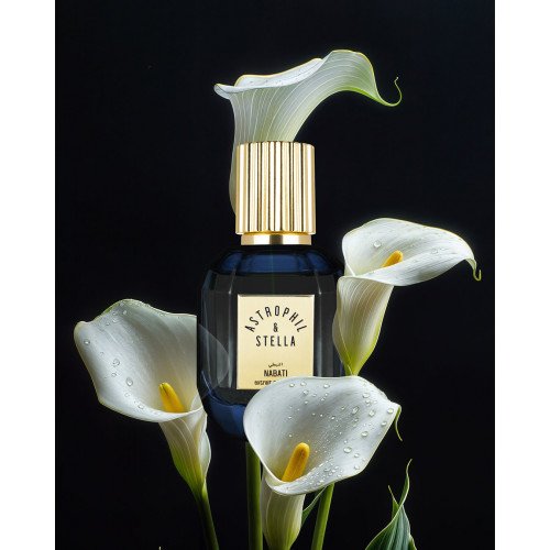 استروفيل اند ستيلا نبطي اكستريت دو برفيوم 50 مل