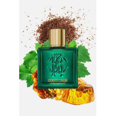 عطر أومو فيرد أسولوتو للرجال من روبرتو كافالي - أو دو برفيوم 100 مل