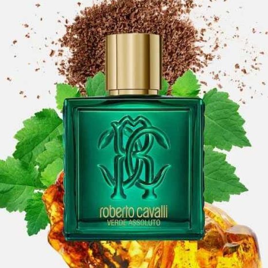Roberto Cavalli Uomo Verde Assoluto for Men EDP 100ml Roberto Cavalli Uomo Verde Assoluto for Men EDP 100ml