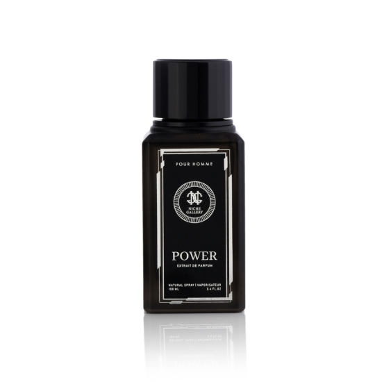  Niche Gallery Pour Homme Power EDP 100ml