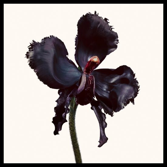 Tom Ford Black Orchid Reserve Parfum 100ml
