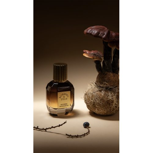 Astrophil and Stella EDP In Extremis 50 ml
