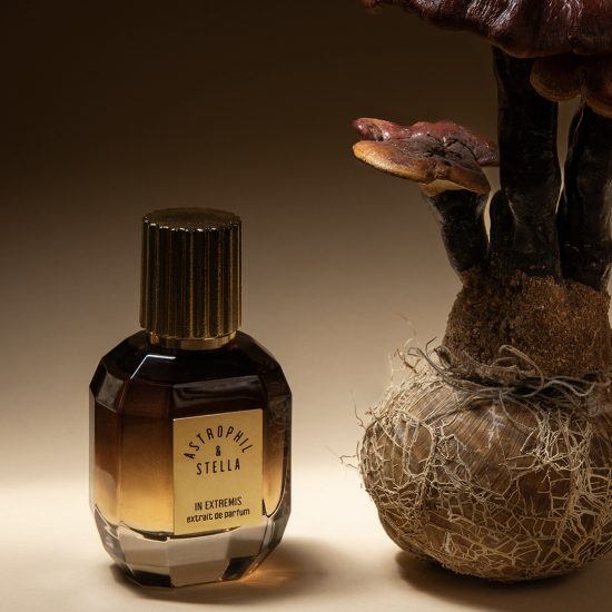 Astrophil and Stella EDP In Extremis 50 ml