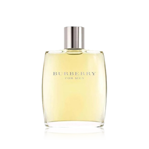 Burberry Burberry 100ml