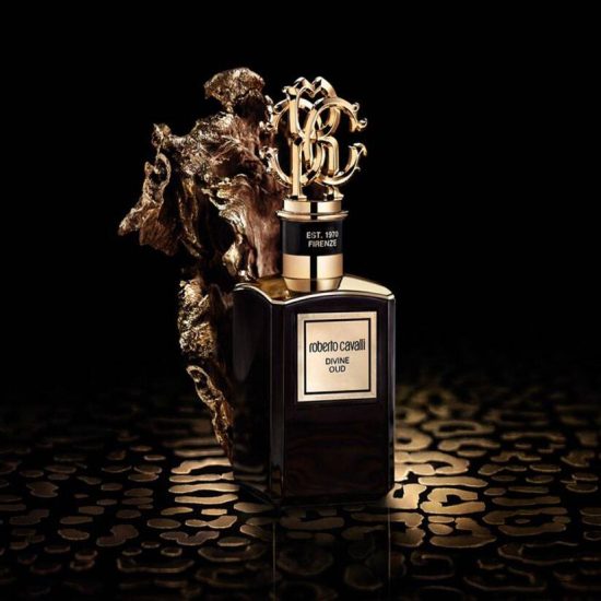 Roberto Cavalli Divine Oud 100ml Roberto Cavalli Divine Oud 100ml