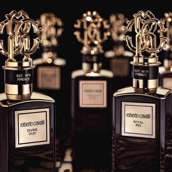 روبرتو كافالي ديفاين عود 100 مل روبرتو كافالي ديفاين عود 100 مل