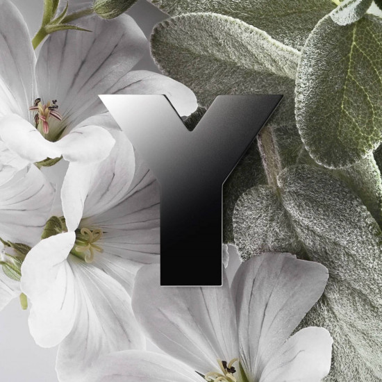 اف سان لوران واي ايدو برفيوم 100 مل اف سان لوران واي ايدو برفيوم 100 مل