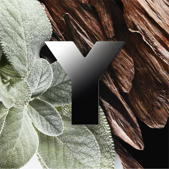 اف سان لوران واي ايدو برفيوم 100 مل اف سان لوران واي ايدو برفيوم 100 مل