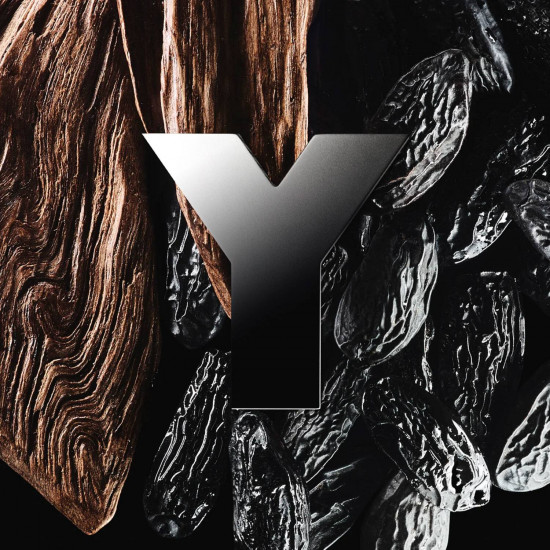 اف سان لوران واي ايدو برفيوم 100 مل اف سان لوران واي ايدو برفيوم 100 مل