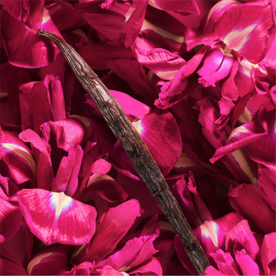 لانكوم لا في إي بيل إنتينسمنت 50 مل لانكوم لا في إي بيل إنتينسمنت 50 مل