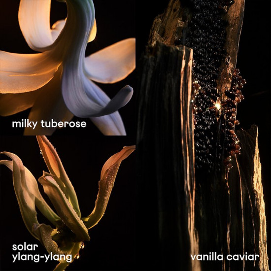 باكو رابان ليدي مليون فابيولوس او دو برفيوم 80 مل