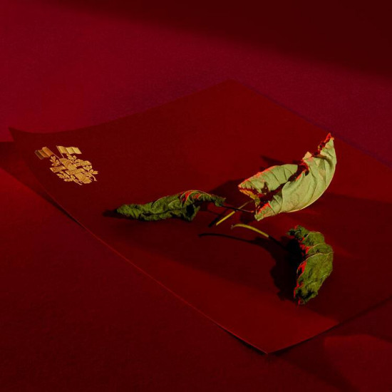 جان بول غوتييه سكاندل باي نايت 80 مل جان بول غوتييه سكاندل باي نايت 80 مل