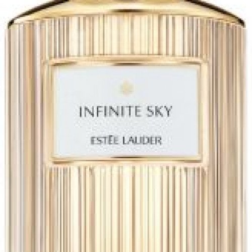 استي لودر انفنتي سكاي 40 مل