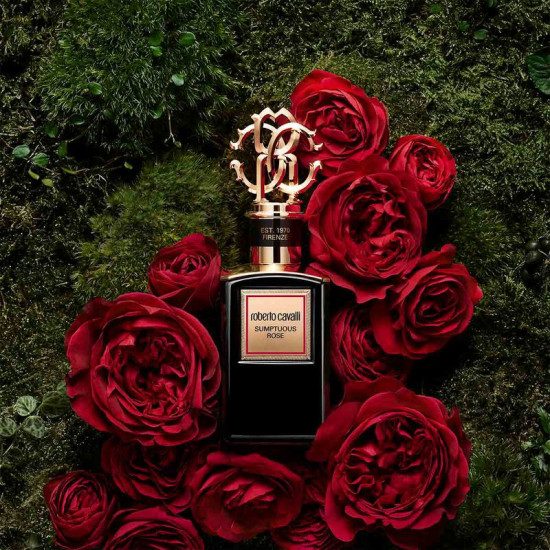 روبرتو كافالي جولد كولكشن سامبتوس روز أو دو برفان 100مل روبرتو كافالي جولد كولكشن سامبتوس روز أو دو برفان 100مل