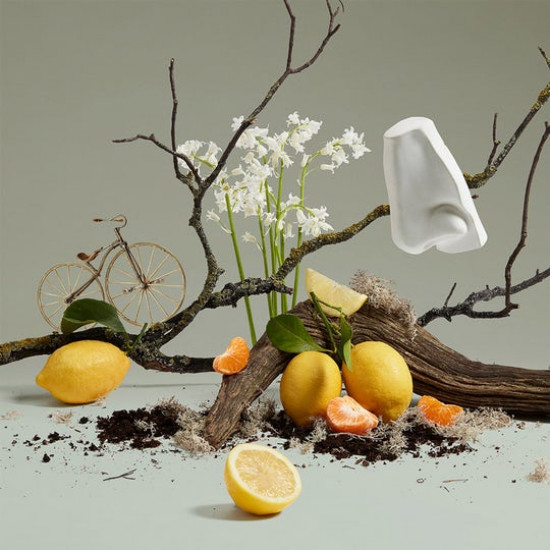 بنهاليغونز إكويركس كولونيا أو دو كولون 100 مل بنهاليغونز إكويركس كولونيا أو دو كولون 100 مل