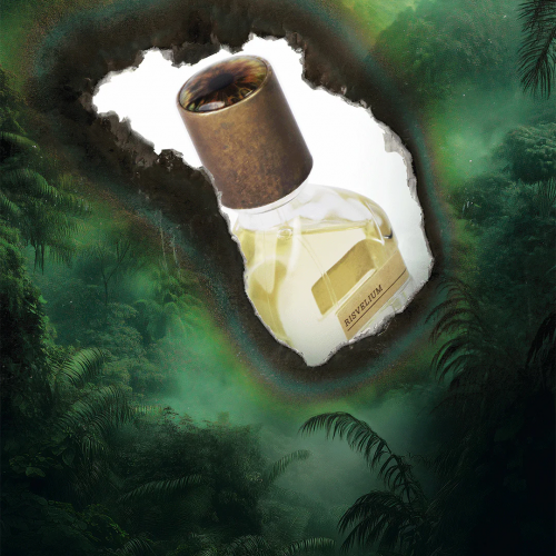 اورتو باريسي ريسفيليوم او دو برفيوم 50 مل اورتو باريسي ريسفيليوم او دو برفيوم 50 مل