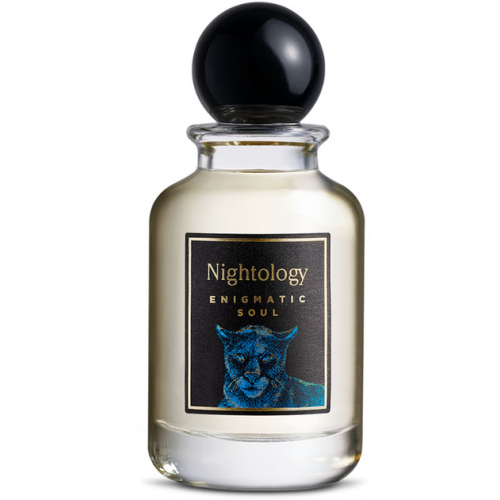 نايتولوجي اينجماتيك سول أو دو برفيوم 100 مل نايتولوجي اينجماتيك سول أو دو برفيوم 100 مل