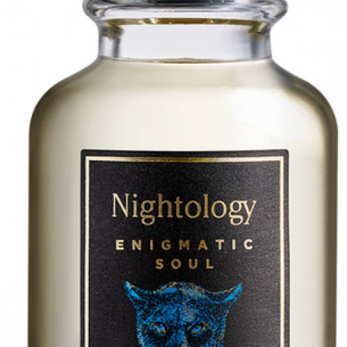 نايتولوجي اينجماتيك سول أو دو برفيوم 100 مل نايتولوجي اينجماتيك سول أو دو برفيوم 100 مل