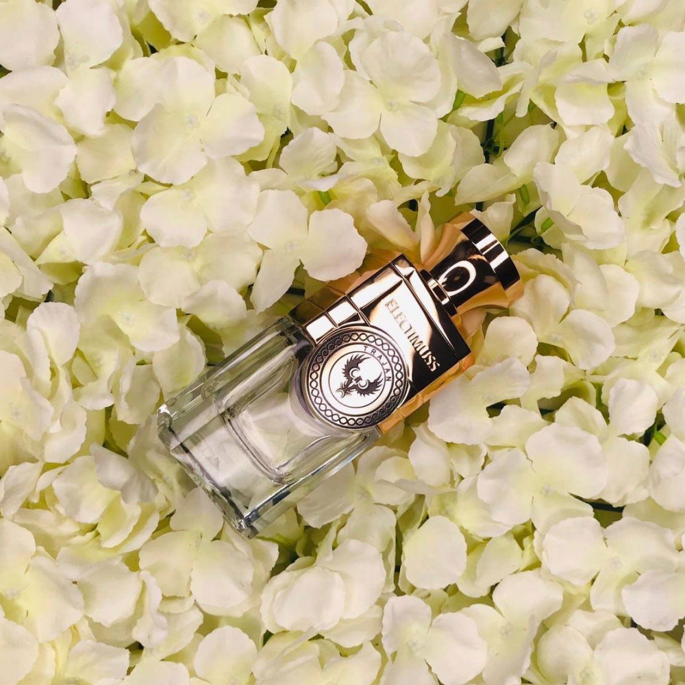 ايليكتيموس تراجان او دو برفيوم 100 مل ايليكتيموس تراجان او دو برفيوم 100 مل