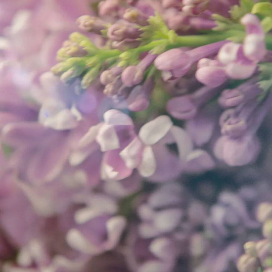 قوتشي جيلتي بور فيم 90 مل قوتشي جيلتي بور فيم 90 مل