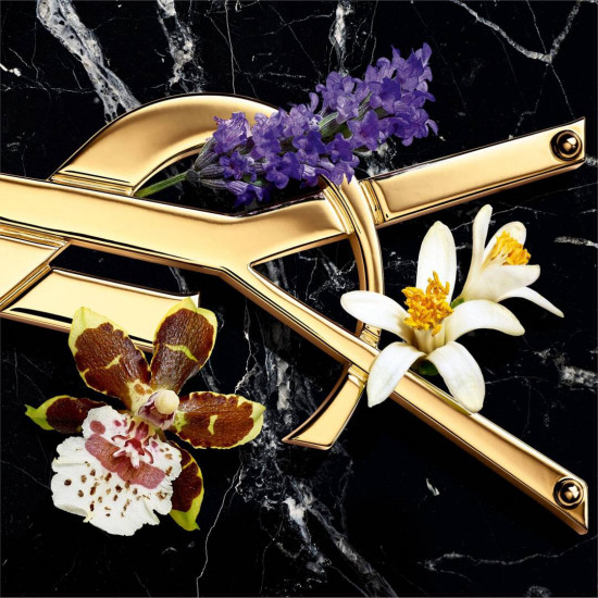 اف سان لوران ليبر انتنس 50 مل اف سان لوران ليبر انتنس 50 مل